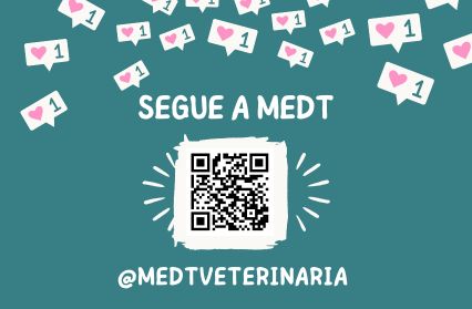 medtveterinaria sorocaba