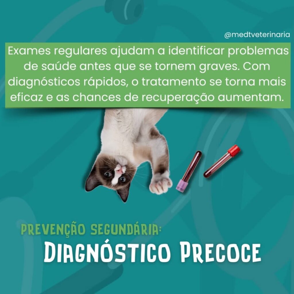 2. Prevenção Secundária Diagnóstico Precoce e Monitoramento de Saúde