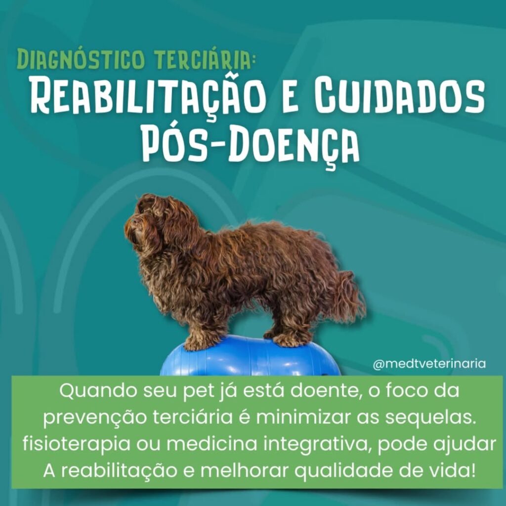 Prevenção Terciária Reabilitação e Cuidados Pós-Doença