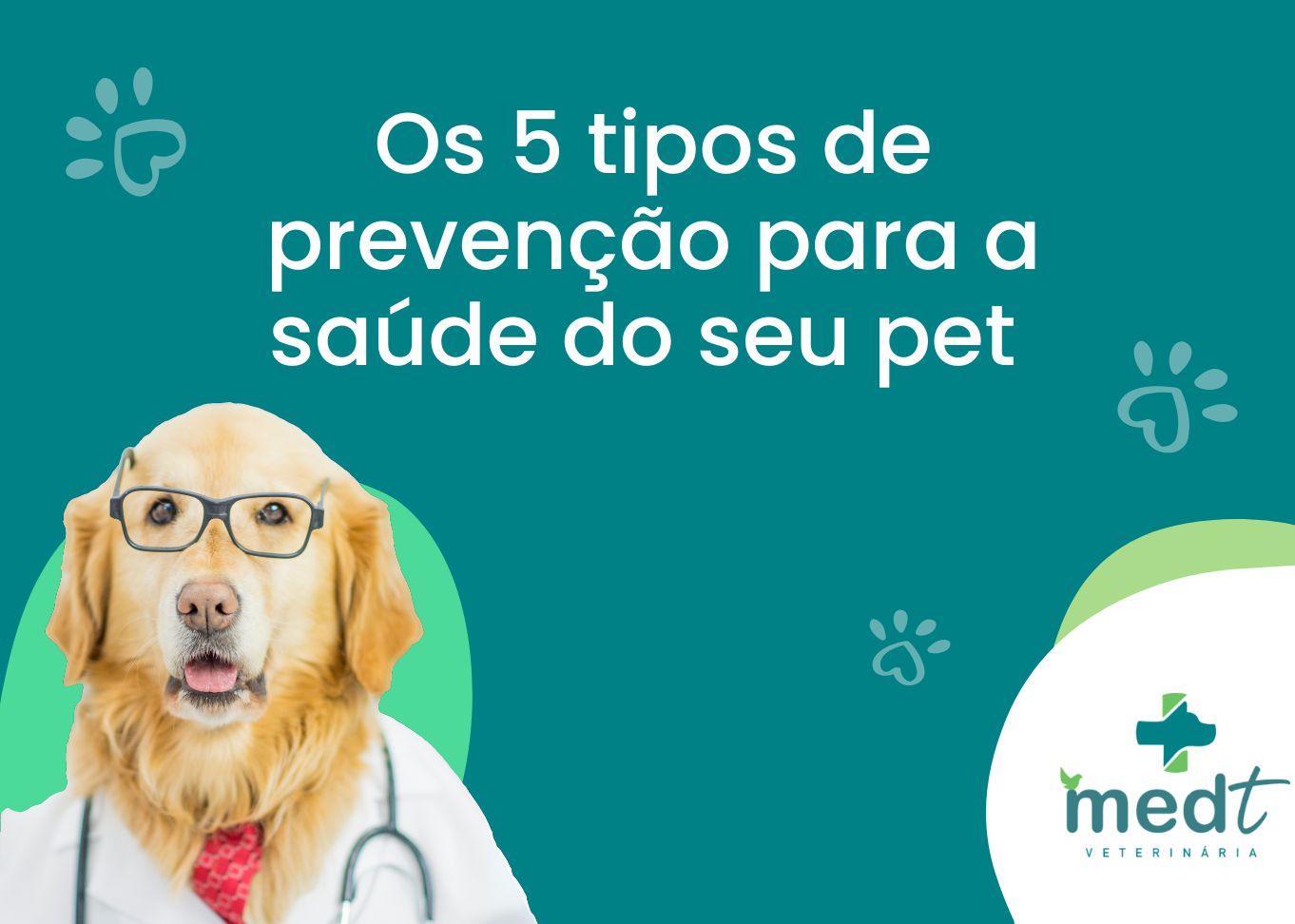 Os 5 Tipos de Prevenção para a Saúde do Seu Pet