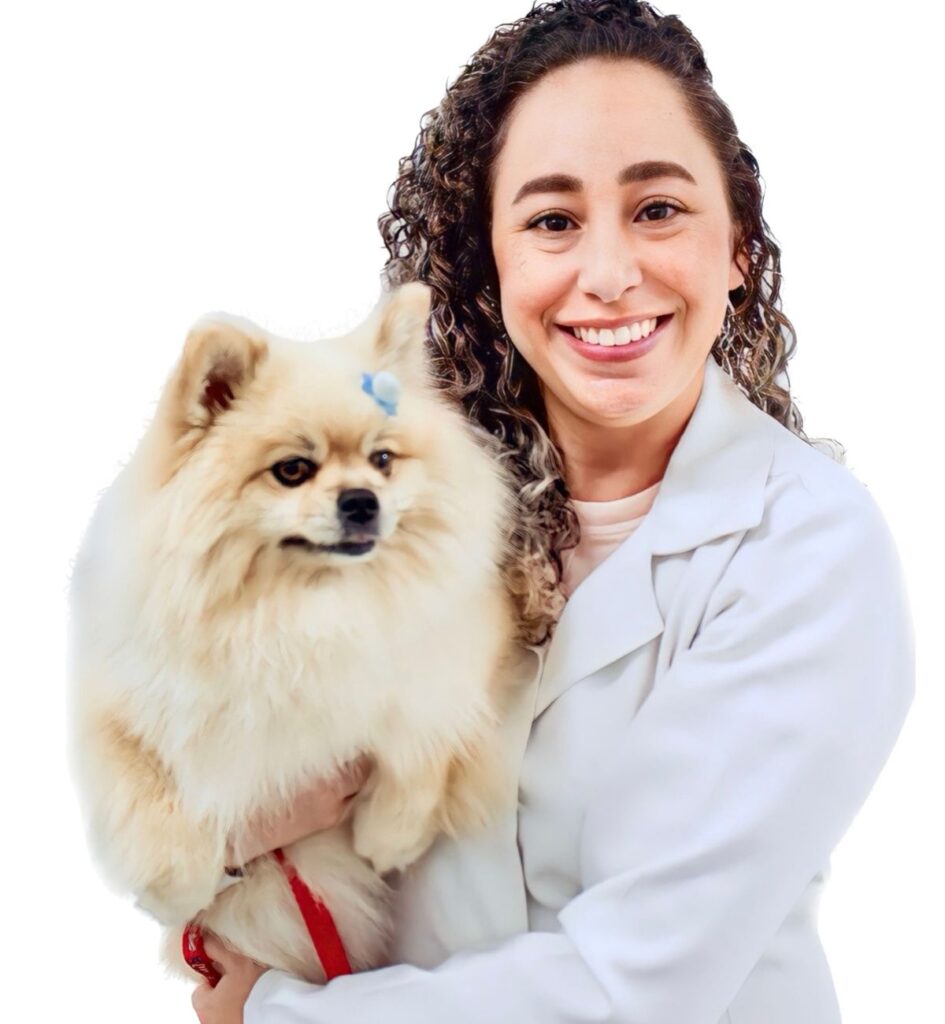 veterinária cardiologista de cães