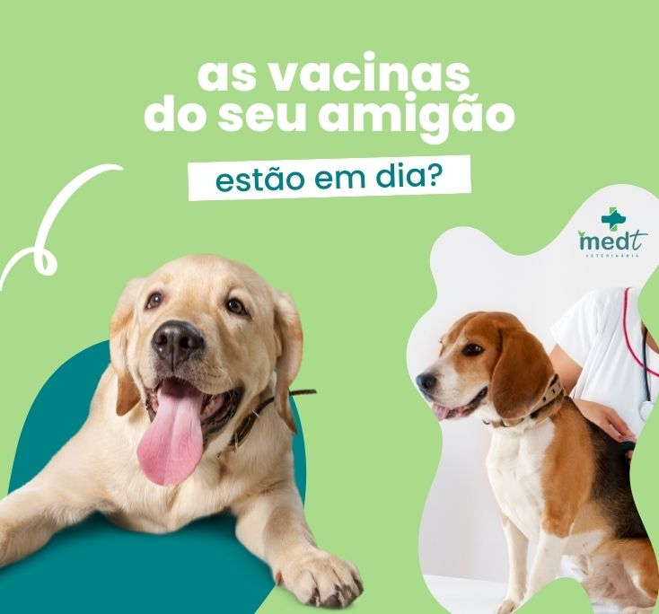 vacinação cachorro sorocaba