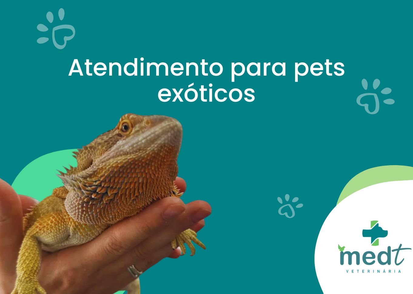 pets exóticos e pet não convencional em Sorocaba