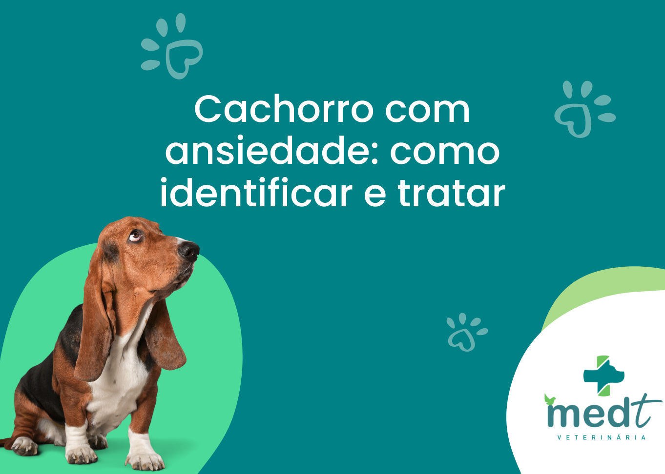 Cachorro com ansiedade