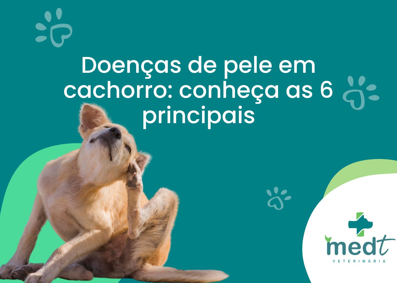 Doenças de pele em cachorro