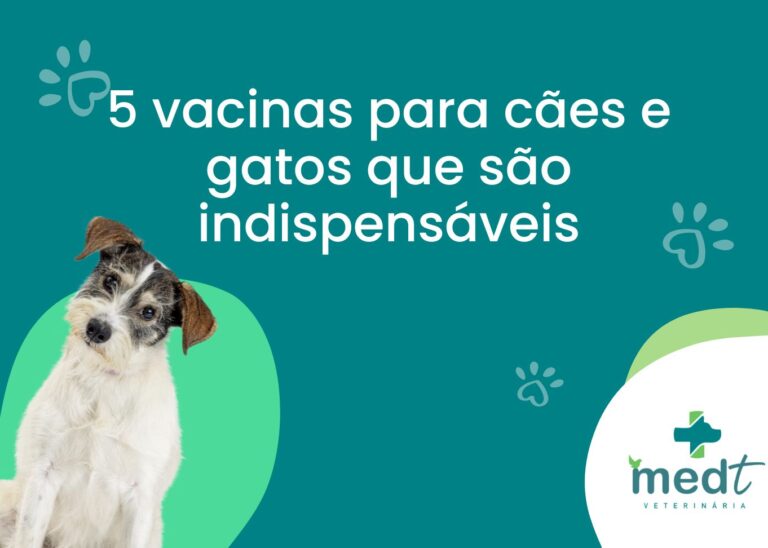 vacinas para cães