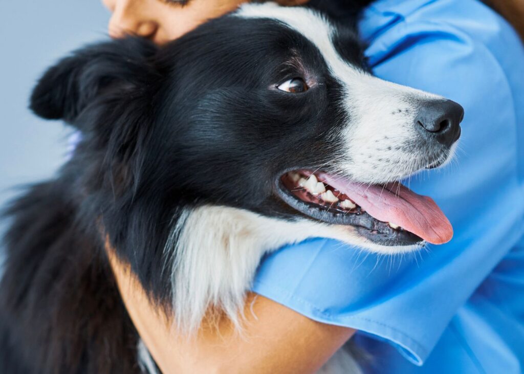 veterinaria abrançando cachorro