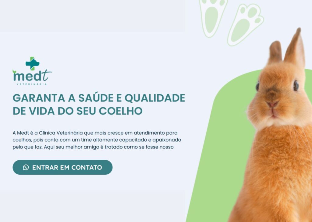 coelho em sorocaba