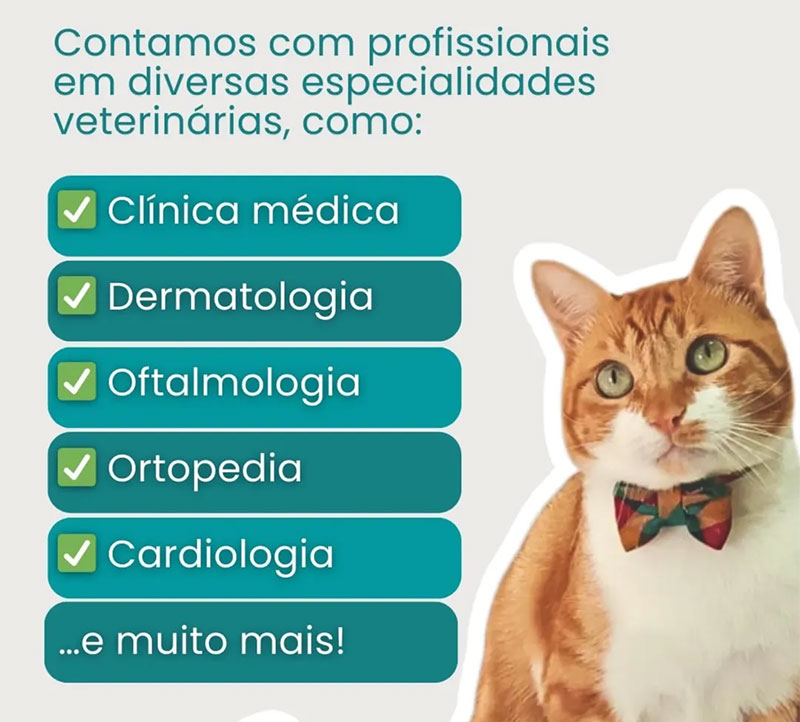 ESPECIALIDADES-VETERINARIAS