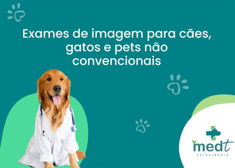 Exames de imagem